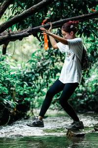 BIB: 
                            <button type="button" onclick="openModal(25294202)" class="btn btn-primary btn-sm float-right btn-popup" data-toggle="modal" data-target=".modal-high-quality">
                        <i class="fas fa-shopping-cart"></i> Add to Cart
                    </button>
                                            <button type="button" onclick="isThisMe(25294202, true)" class="btn btn-success btn-sm float-right btn-popup btn-isme hidden" data-toggle="tooltip" data-placement="bottom" title="นี่คือรูปของคุณใช่ไหม คลิกที่นี่เพื่อเอาเข้าอัลบั้ม">
                        <i class="fas fa-plus"></i> Add to album
                    </button>
                    <button type="button" onclick="isThisMe(25294202, false)" class="btn btn-warning btn-sm float-right btn-popup btn-isnotme hidden">
                        <i class="fas fa-ban"></i> Remove from album
                    </button>